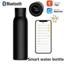 Tuya Smart Bluetooth Water Cup LCD Temperature Display Water Consumption Record Keep Warm Work With Tuya Smart Life App